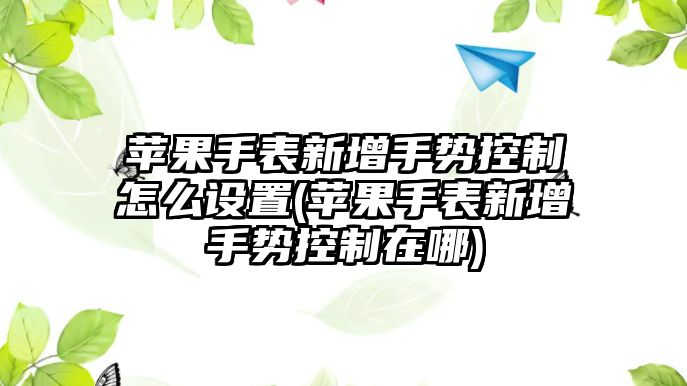 蘋果手表新增手勢控制怎么設(shè)置(蘋果手表新增手勢控制在哪)