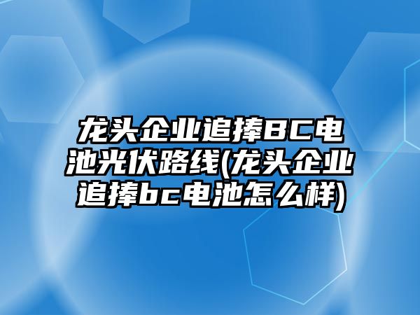 龍頭企業(yè)追捧BC電池光伏路線(龍頭企業(yè)追捧bc電池怎么樣)