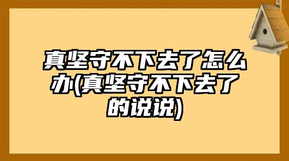 真堅(jiān)守不下去了怎么辦(真堅(jiān)守不下去了的說說)