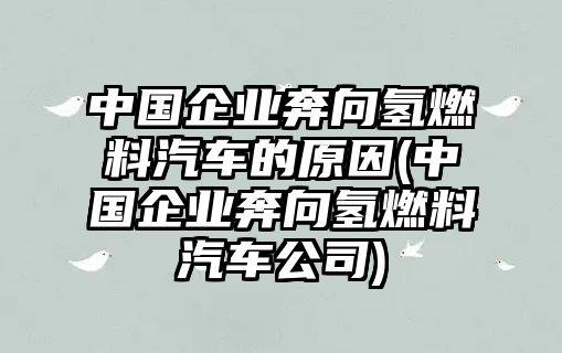 中國企業(yè)奔向氫燃料汽車的原因(中國企業(yè)奔向氫燃料汽車公司)