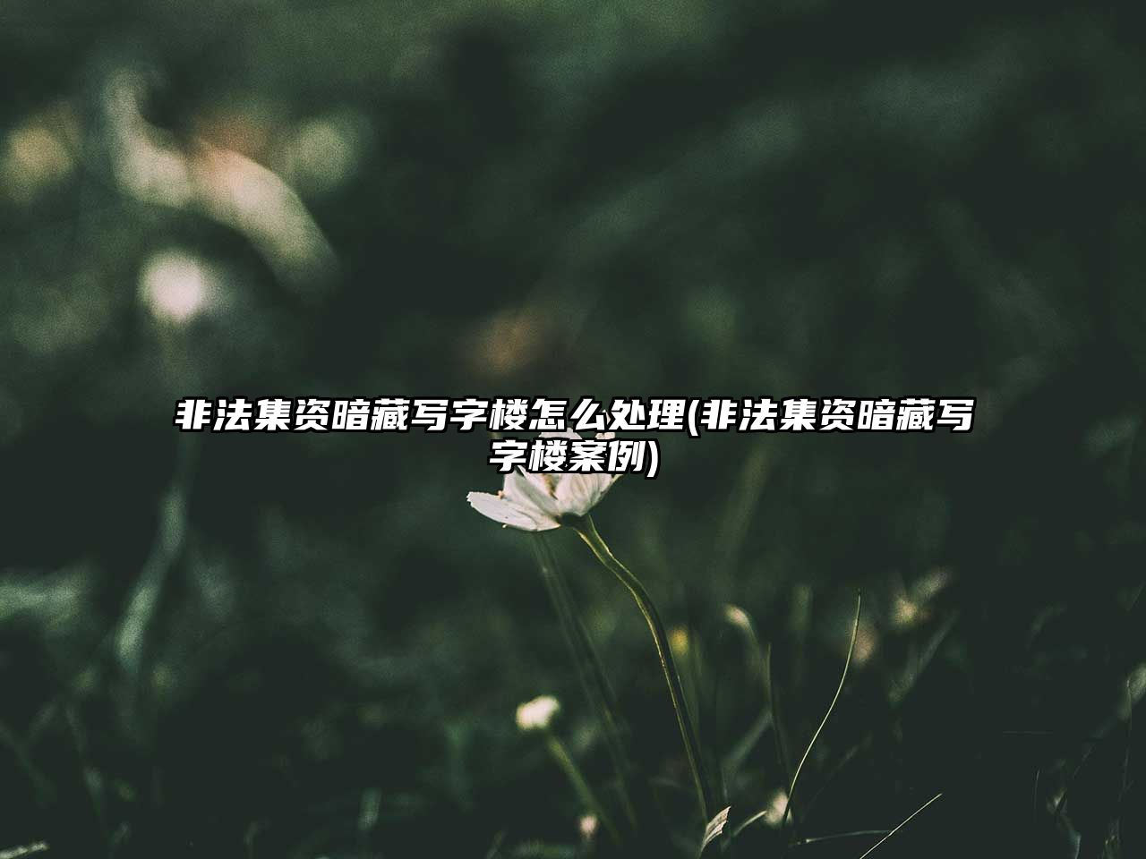 非法集資暗藏寫字樓怎么處理(非法集資暗藏寫字樓案例)