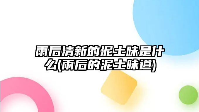 雨后清新的泥土味是什么(雨后的泥土味道)