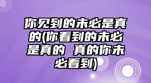 你見到的未必是真的(你看到的未必是真的 真的你未必看到)