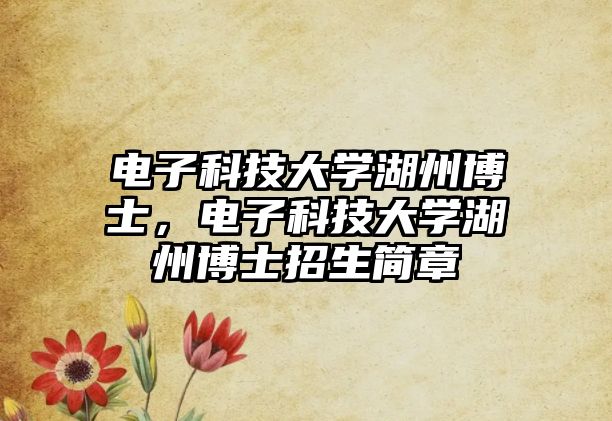 電子科技大學(xué)湖州博士，電子科技大學(xué)湖州博士招生簡章