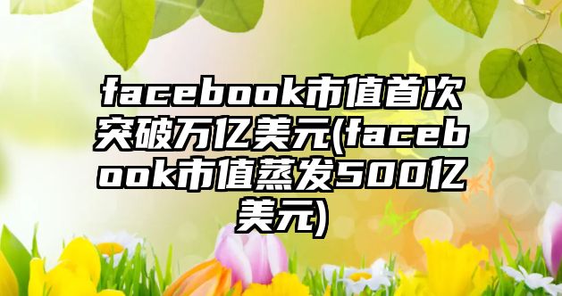 facebook市值首次突破萬億美元(facebook市值蒸發(fā)500億美元)