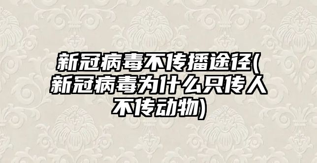 新冠病毒不傳播途徑(新冠病毒為什么只傳人不傳動物)