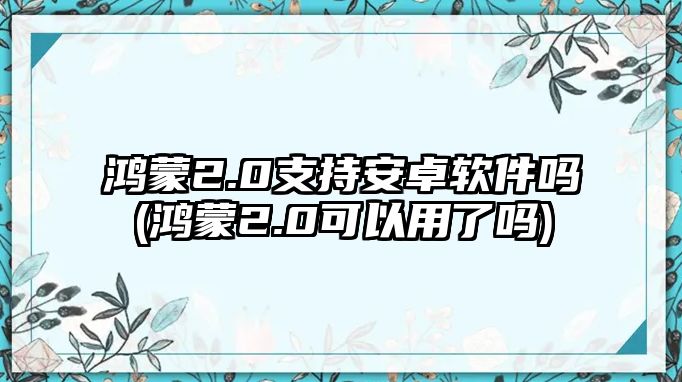 鴻蒙2.0支持安卓軟件嗎(鴻蒙2.0可以用了嗎)