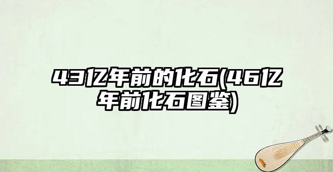 43億年前的化石(46億年前化石圖鑒)