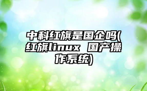 中科紅旗是國(guó)企嗎(紅旗linux 國(guó)產(chǎn)操作系統(tǒng))