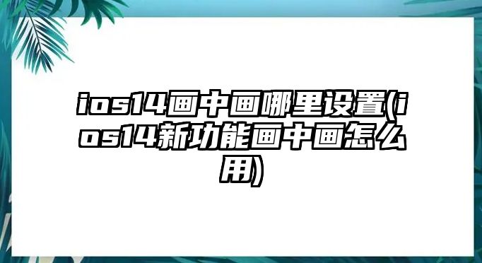 ios14畫中畫哪里設(shè)置(ios14新功能畫中畫怎么用)