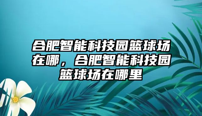 合肥智能科技園籃球場在哪，合肥智能科技園籃球場在哪里