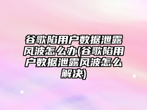 谷歌陷用戶數(shù)據(jù)泄露風波怎么辦(谷歌陷用戶數(shù)據(jù)泄露風波怎么解決)