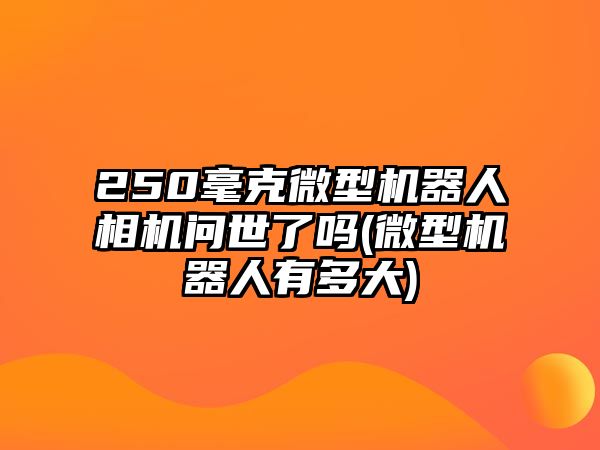 250毫克微型機器人相機問世了嗎(微型機器人有多大)