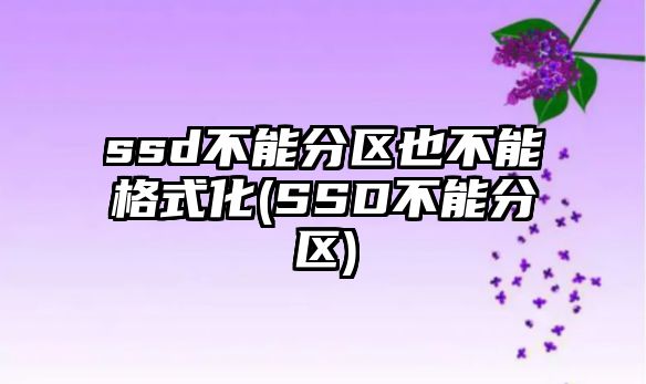 ssd不能分區(qū)也不能格式化(SSD不能分區(qū))