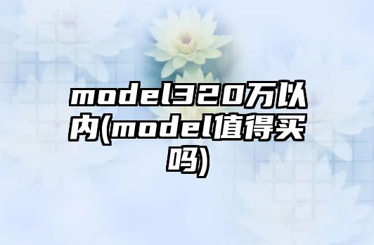 model320萬以內(nèi)(model值得買嗎)