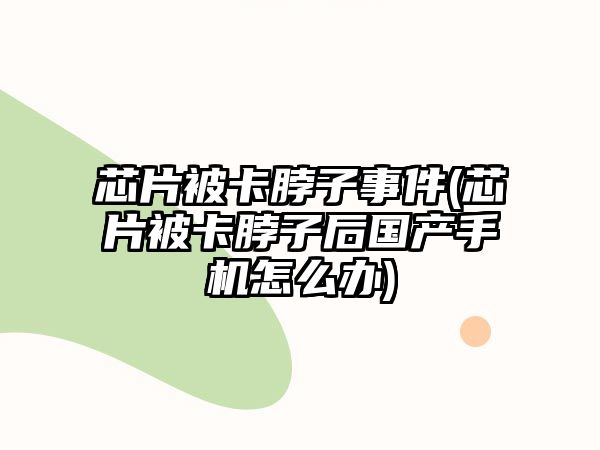 芯片被卡脖子事件(芯片被卡脖子后國產(chǎn)手機(jī)怎么辦)