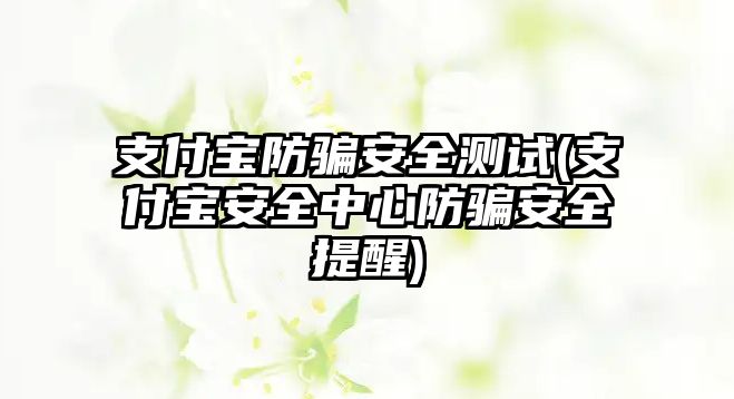 支付寶防騙安全測試(支付寶安全中心防騙安全提醒)