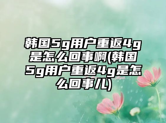 韓國(guó)5g用戶重返4g是怎么回事啊(韓國(guó)5g用戶重返4g是怎么回事兒)