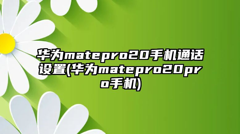 華為matepro20手機(jī)通話設(shè)置(華為matepro20pro手機(jī))