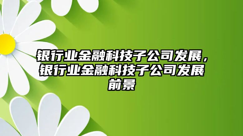 銀行業(yè)金融科技子公司發(fā)展，銀行業(yè)金融科技子公司發(fā)展前景