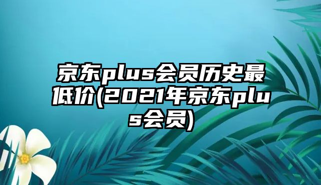 京東plus會(huì)員歷史最低價(jià)(2021年京東plus會(huì)員)