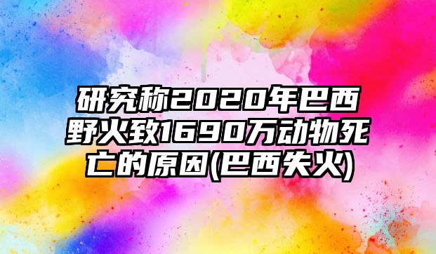 研究稱2020年巴西野火致1690萬動(dòng)物死亡的原因(巴西失火)