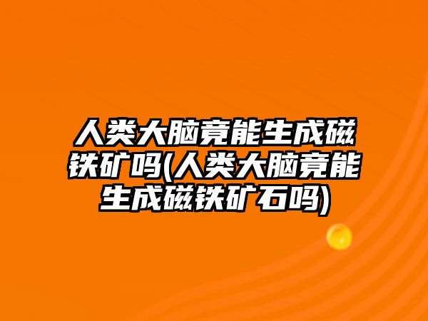 人類大腦竟能生成磁鐵礦嗎(人類大腦竟能生成磁鐵礦石嗎)