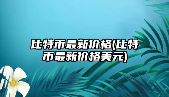 比特幣最新價(jià)格(比特幣最新價(jià)格美元)