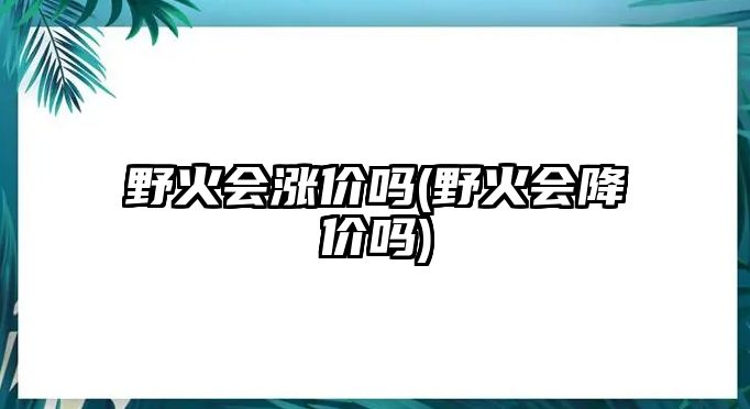 野火會漲價嗎(野火會降價嗎)