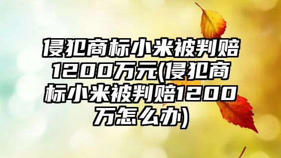 侵犯商標小米被判賠1200萬元(侵犯商標小米被判賠1200萬怎么辦)