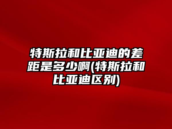 特斯拉和比亞迪的差距是多少啊(特斯拉和比亞迪區(qū)別)