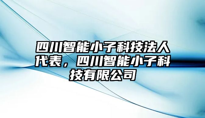 四川智能小子科技法人代表，四川智能小子科技有限公司