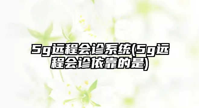 5g遠程會診系統(tǒng)(5g遠程會診依靠的是)