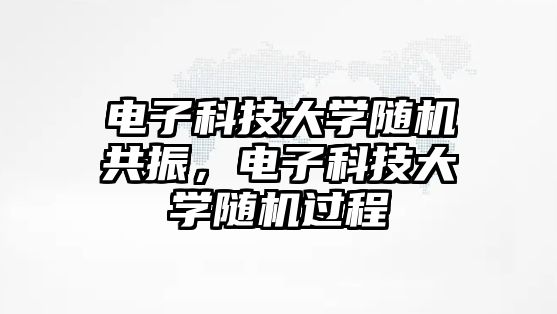 電子科技大學隨機共振，電子科技大學隨機過程