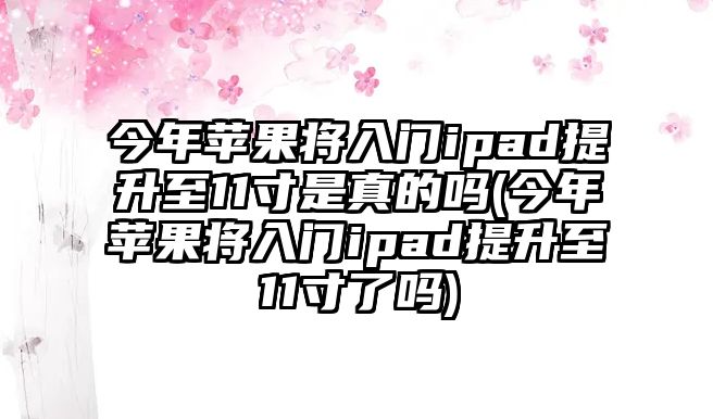 今年蘋果將入門ipad提升至11寸是真的嗎(今年蘋果將入門ipad提升至11寸了嗎)