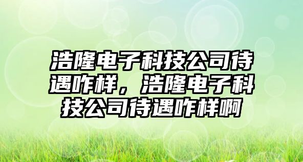 浩隆電子科技公司待遇咋樣，浩隆電子科技公司待遇咋樣啊