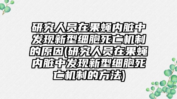 研究人員在果蠅內(nèi)臟中發(fā)現(xiàn)新型細(xì)胞死亡機(jī)制的原因(研究人員在果蠅內(nèi)臟中發(fā)現(xiàn)新型細(xì)胞死亡機(jī)制的方法)