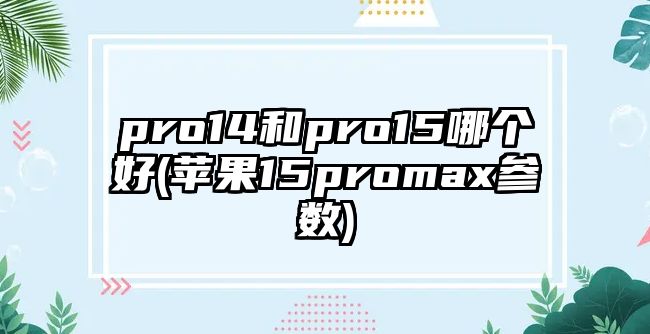 pro14和pro15哪個(gè)好(蘋果15promax參數(shù))