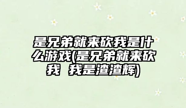 是兄弟就來砍我是什么游戲(是兄弟就來砍我 我是渣渣輝)