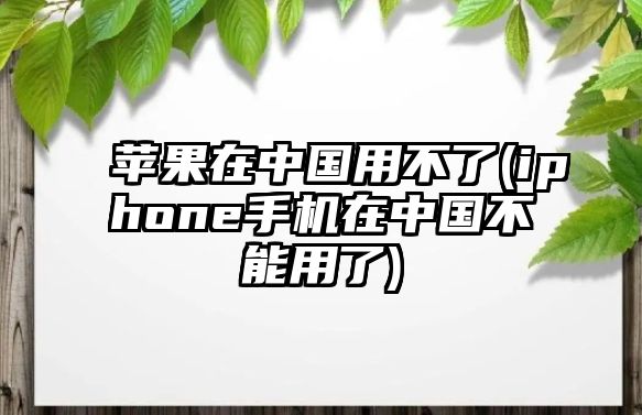 蘋(píng)果在中國(guó)用不了(iphone手機(jī)在中國(guó)不能用了)