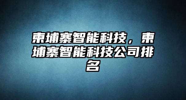 柬埔寨智能科技，柬埔寨智能科技公司排名