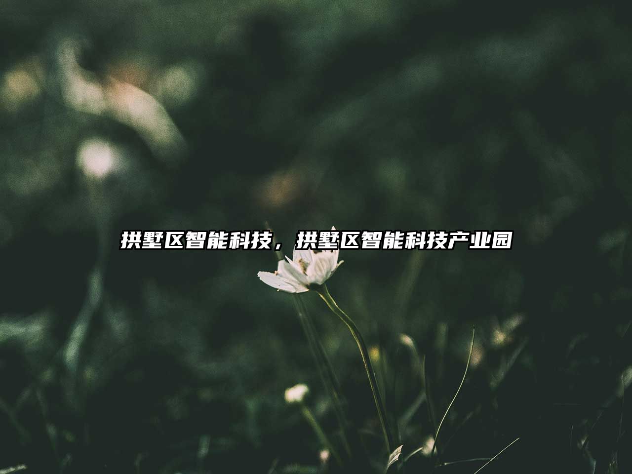 拱墅區(qū)智能科技，拱墅區(qū)智能科技產(chǎn)業(yè)園