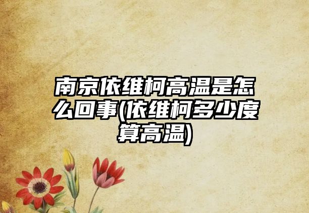 南京依維柯高溫是怎么回事(依維柯多少度算高溫)