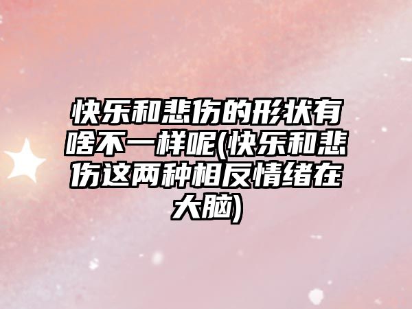 快樂和悲傷的形狀有啥不一樣呢(快樂和悲傷這兩種相反情緒在大腦)