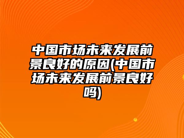 中國市場未來發(fā)展前景良好的原因(中國市場未來發(fā)展前景良好嗎)