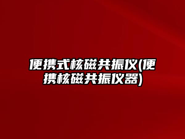 便攜式核磁共振儀(便攜核磁共振儀器)