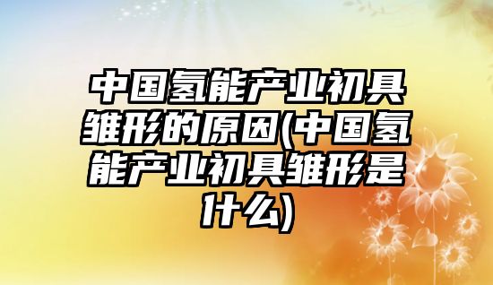 中國氫能產(chǎn)業(yè)初具雛形的原因(中國氫能產(chǎn)業(yè)初具雛形是什么)