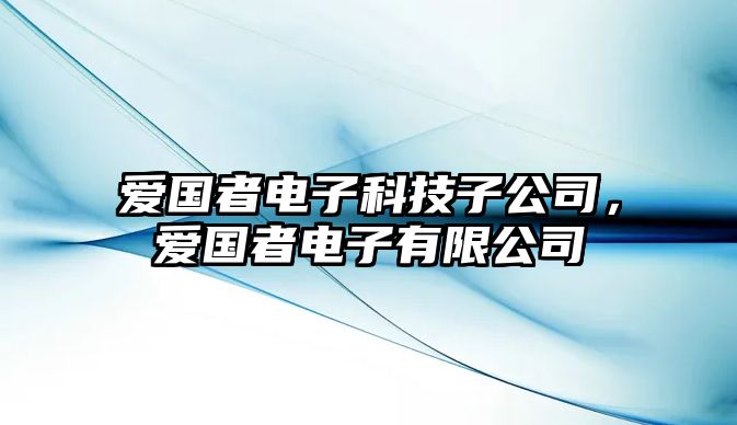 愛國者電子科技子公司，愛國者電子有限公司