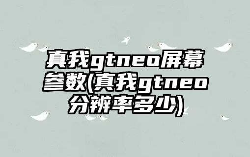 真我gtneo屏幕參數(shù)(真我gtneo分辨率多少)