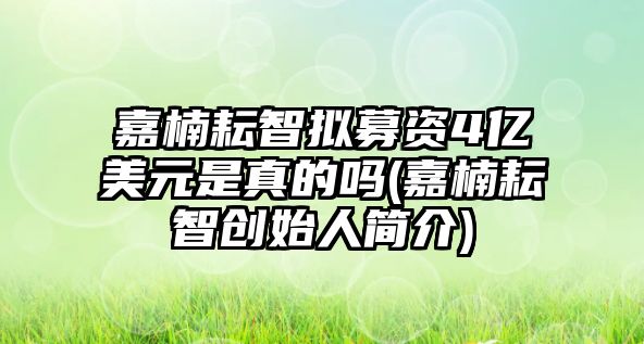 嘉楠耘智擬募資4億美元是真的嗎(嘉楠耘智創(chuàng)始人簡介)